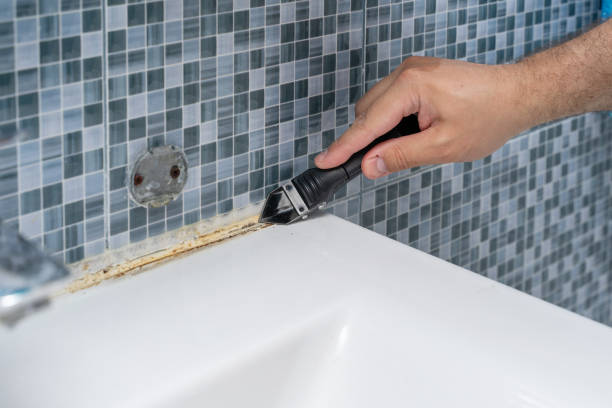 Office Mold Removal Services in Goshen, IN