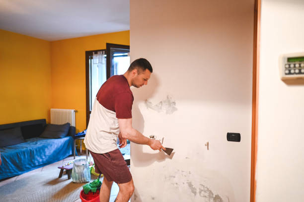 Best Mold Damage Repair  in Goshen, IN